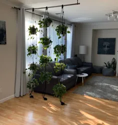 آویز قابل تنظیم گیاه ، نمایش چندین گیاه ، تقسیم اتاق ، قفسه های آویز ، کاشت دیواری ، ماکرامه ، کاشت صرفه جویی در فضا ، قفسه های پنجره