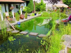 9 افسانه در مورد استخر شنای طبیعی و ارگانیک در باغ