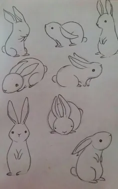 ** خرگوش‌های دوست‌داشتنی در حال بازی**