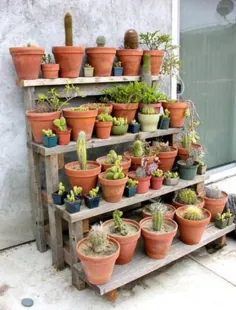 استندهای گیاهی ایده‌های استند گیاهی برای فضای داخلی استند زیبایی باغ دیواری