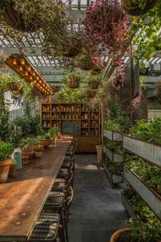 Potting Shed: Oasis Green in Alexandria