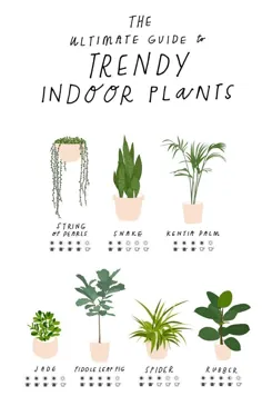 برنامه ریز خود را با استفاده از این درج های قابل چاپ رایگان سازماندهی کنید |  گیاهان ، گیاهان داخل سالن ، گیاه اتاق خواب