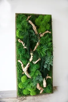 40 "x 18" Artisan Moss® گیاهان واقعی در گیاهان قاب چوبی اصلاح شدهme - بدون مراقبت Green Moss Green Wall.