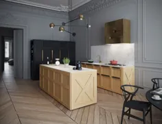 آپارتمان کلاسیک پاریس دارای یک مخزن ماهی به عنوان یک بار و یک آشپزخانه به سبک جعبه است