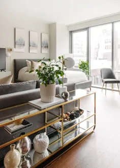 در خانه با خدمه طراحی: خنثی در یک آپارتمان استودیویی با فضای کوچک در نیویورک - جبهه + اصلی با گلم دیدار می کند