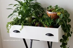 15 غرفه و قفسه گیاهان DIY برای به نمایش گذاشتن باغ داخلی شما