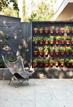 12 ایده باغ عمودی برای الهام بخشیدن به دیوار سبز خود