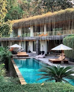 ویلا آفتاب پرست – مسحورترین ویلای جنگلی در بالی!: خلوتگاه طبیعت خیره کننده با استخر بی نهایت در کنار دره!