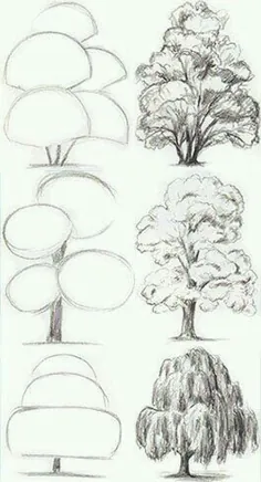 نقاشی‌های ساده از درختان