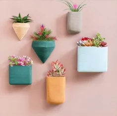 مجموعه 6 ظرف آویز دیواری گلدان رزین دیواری دیواری |  اتسی