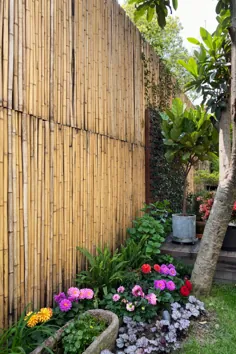 حصار بامبو - (10) ایده حیاط فوق العاده برای استفاده با درختان بامبو