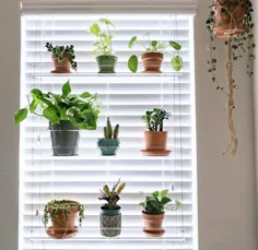 قفسه گیاه پنجره |  قفسه معلق |  قفسه های گیاهی |  پایه گیاه