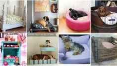 15 خانه سگ DIY درخشان با برنامه های رایگان برای همسفر خزدار شما