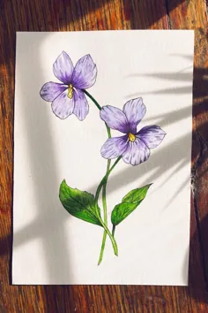 نقاشی زیبای گل بنفشه