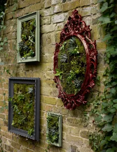 نحوه ساخت باغچه دیواری با گیاهان آبدار در قاب عکس |  خانه ایده آل