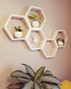 این قفسه های لانه زنبوری را برای گیاهان کودک درست کنید.