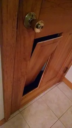 درب حیوانات خانگی پنهان در درب پانل