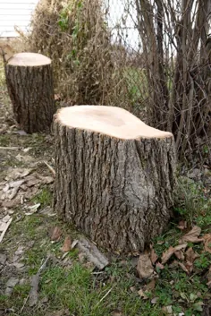 میزهای جانبی کنده درخت DIY