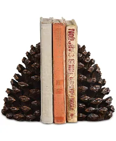 3R Studio Pinecone Resin Bookends ، مجموعه ای از 2 و بررسی - Macy's