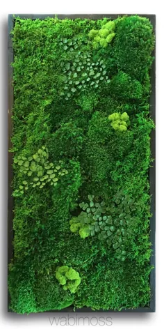 58x58 "واقعی محافظت شده از خزه دیوار هنر سبز دیوار کلاژ بدون چوب. بدون مراقبت از هنر دیوار سبز. خزه و سرخس واقعی محافظت شده - WabiMoss