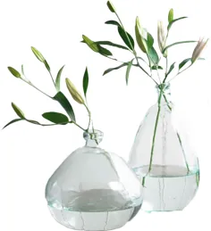 گلدان های بادکنکی شیشه ای بازیافتی پاک - مجموعه ای از 2 عدد در Tall & Askew