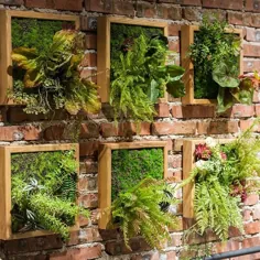 گیاه دیوار مصنوعی گیاهان شاد