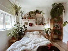 داخلی اتاق خواب بوهمی |  گیاهان