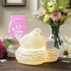 Scentsy مارس 2021 گرمتر و بوی ماه - Birds of a Feather Warmer & Pink Sugarberry
