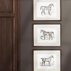 مجموعه 3 هدیه چاپ اسب سواری برای عاشق اسب |  اتسی