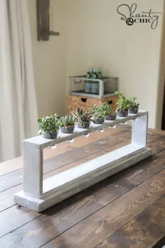قطعه Succulent DIY