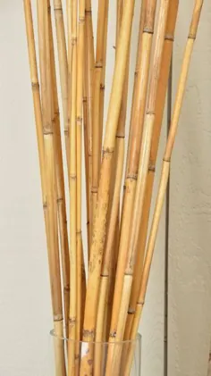 River Cane بامبو خشک بامبو تزئینی بامبو خشک |  اتسی