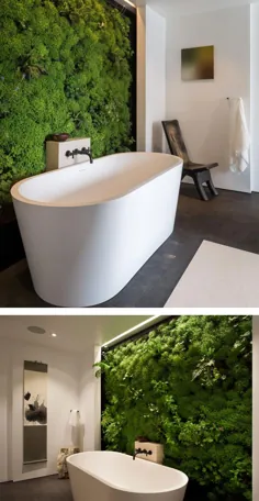 Moss Walls: روند طراحی داخلی که خانه شما را به یک جنگل تبدیل می کند