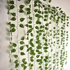 Plantific Plants Plastic European Vine Wall Flower Vine 1 2021 - 11.49 دلار آمریکا