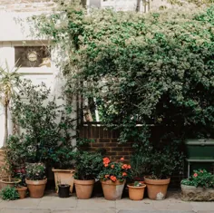 27 ایده ساده و در عین حال زیبا برای محوطه سازی حیاط جلو