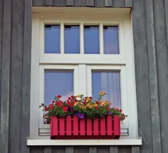 7 کاشت جعبه پنجره که گیاهان شما را پاپ می کند