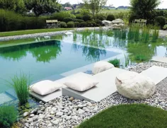 Natuurlijke zwemvijvers: Alles wat u moet over over a aanleg van een zwemvijver in uw tuin |  Christof Vanpoucke bvba