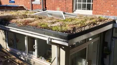 سقف سبز Premium Sedum - سینی های سقف سبز DIY - انگلیس