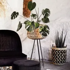 پایه گیاه گیاه بامبو خانم Stoltz |  لوازم جانبی برای خانه