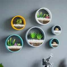 دارنده های گیاهان عمودی معلق گیاهان دیواری گرد Terrariums |  اتسی