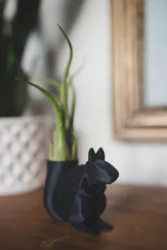 هدیه هدیه سنجاب هدیه نگهدارنده گیاه سنجاب هوا چاپ سه بعدی |  اتسی