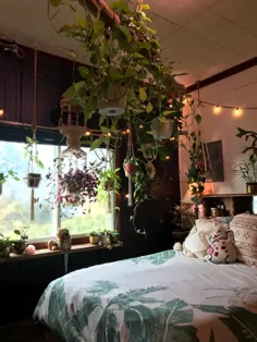سایبان گیاه اتاق خواب!