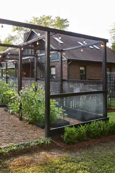 راهنمای باغبان سبزیجات مبتدی برای راه اندازی یک باغ سبزیجات