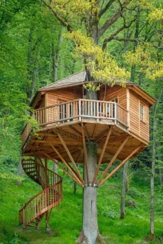 Das sind die 24 schönsten Baumhaushotels در Deutschland