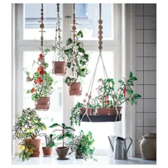 ANVÄNDBAR دارنده آویز گیاه ، معلق ، طبیعی - IKEA