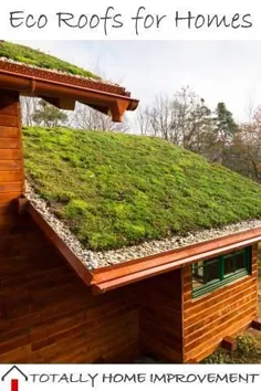 بیایید نگاهی به سقف های سازگار با محیط زیست برای خانه ها بیندازیم