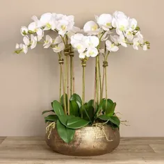 گل گل ارکیده Vivian Rose در گلدان ، رنگ گل: سفید ، رنگ پایه: طلا ، ابریشم / ابریشم مصنوعی در طلای / سفید ، اندازه 29 "H x 22" W x 22 "D