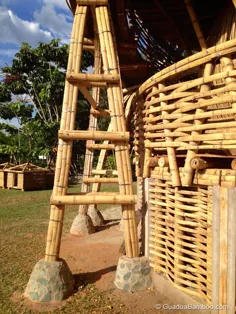 Treehouse بامبو در کلمبیا - Guadua Bamboo