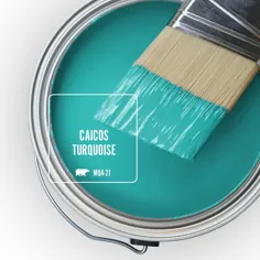 مار بهروي 1 قطعه  # MQ4-21 Caicos Turquoise One-Coate Hide Matte Paint & Primer-145404 - انبار خانه
