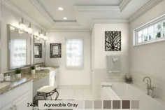 Agreeable Grey ، The Ultimate Neutral Griege |  مانور Opulence