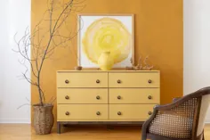 نحوه نقاشی کمد IKEA TARVA با رنگ معدنی Fusion